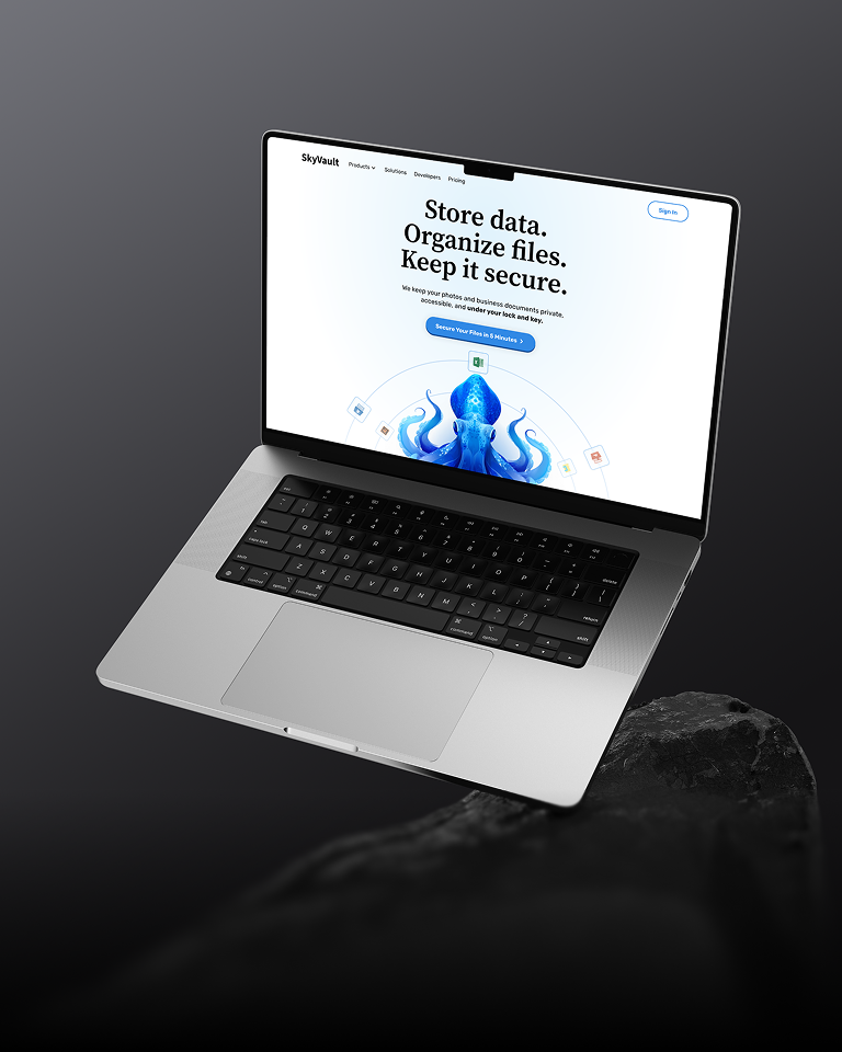 SkyVault Landing Page